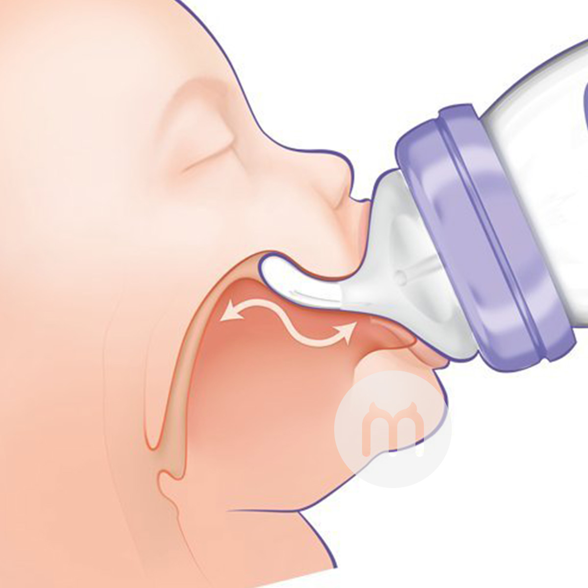 Lansinoh Amerika Serikat berkaliber lebar anti-kembung botol bayi empat paket 240ml selama lebih dari 3 bulan Versi luar