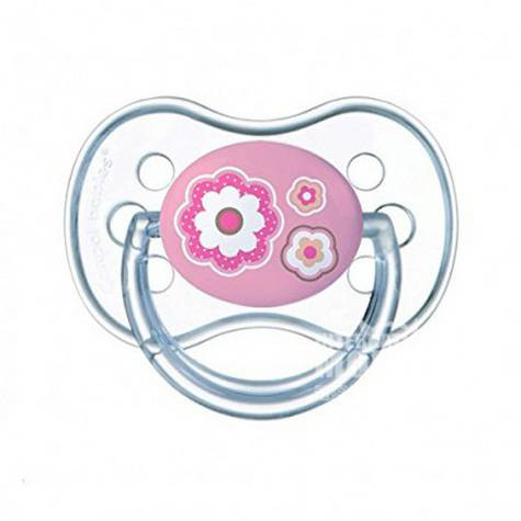 Canpol babies Polish Pink Flower pacifier luar negeri