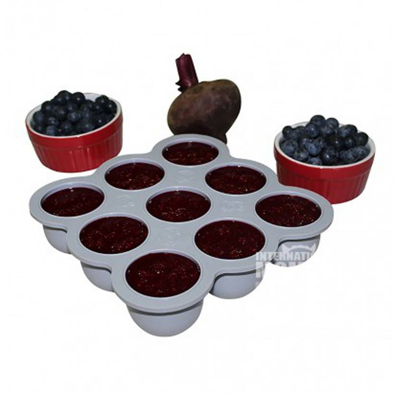 Kiddo Feedo Kiddo Feedo Bayi Makanan Freezer Versi Luar Negeri