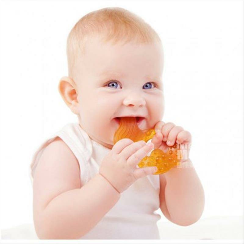 Caaocho Canada Caaocho bayi karet alam ikan kecil Gum gigi versi luar negeri