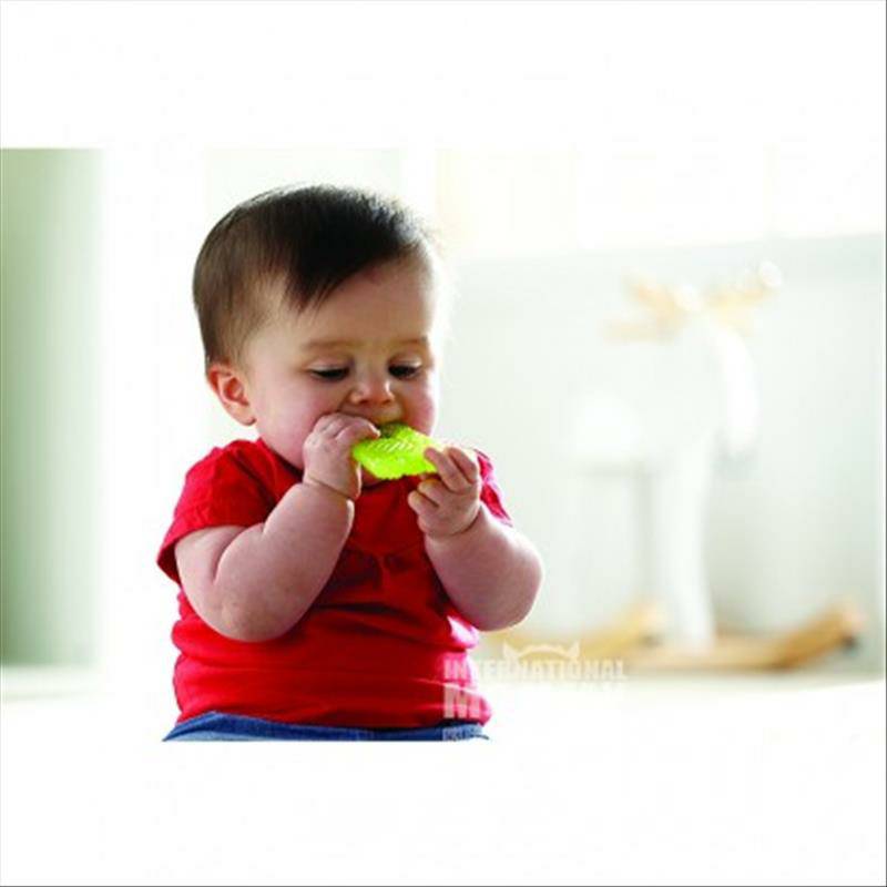 Munchkin American Baby 2-in-1 Teeth Freeze Toothbrush Version Overseas
