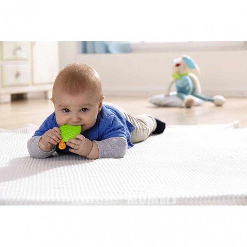 HABA Jerman HABA menenangkan pasta gigi ikan kecil versi luar negeri