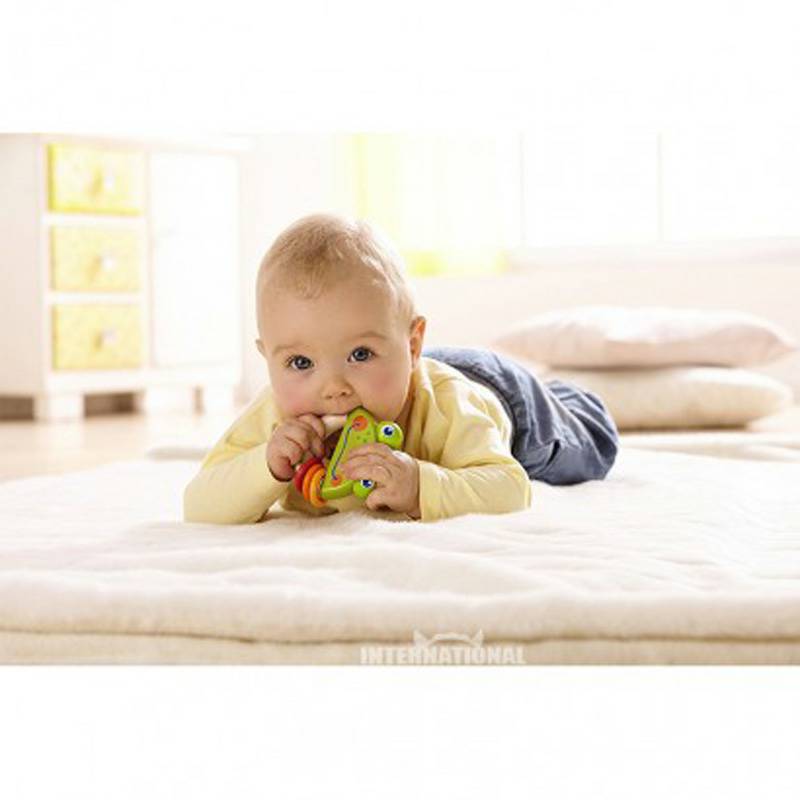 HABA Jerman HABA menggigit bayi katak versi luar negeri