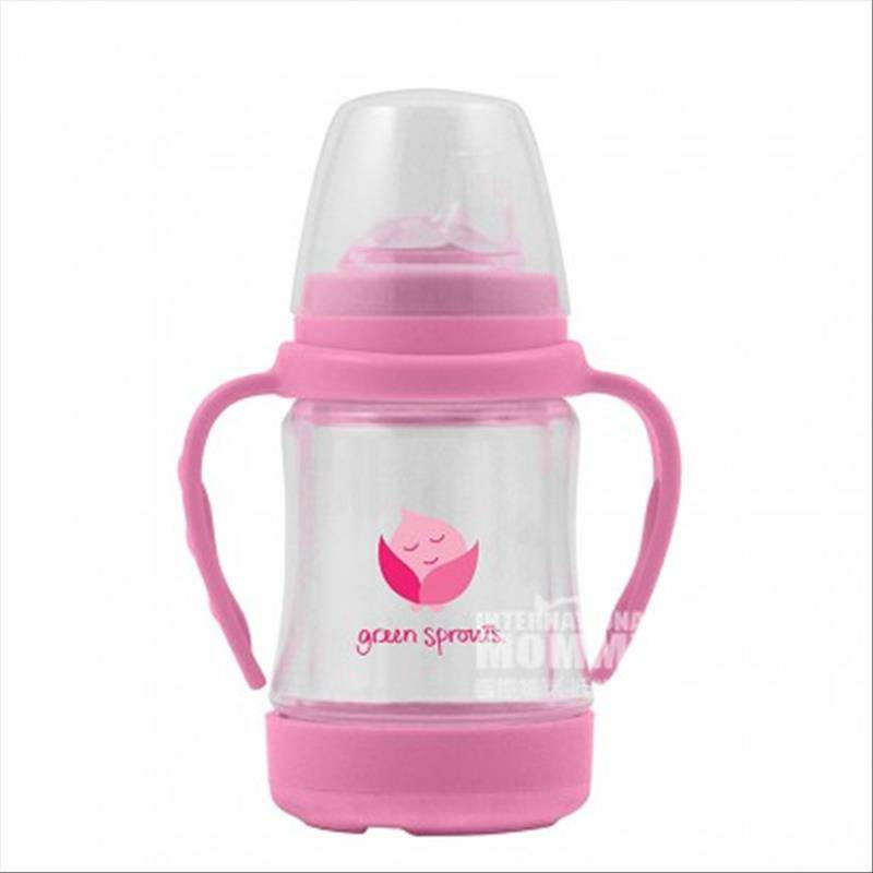 Green Sprouts American glass straw cup versi 6-18 bulan di luar negeri