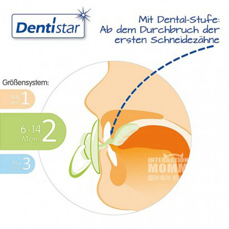 Dentistar Germany Dentistar baby pacifier 3 pack 6-14 bulan di luar negeri