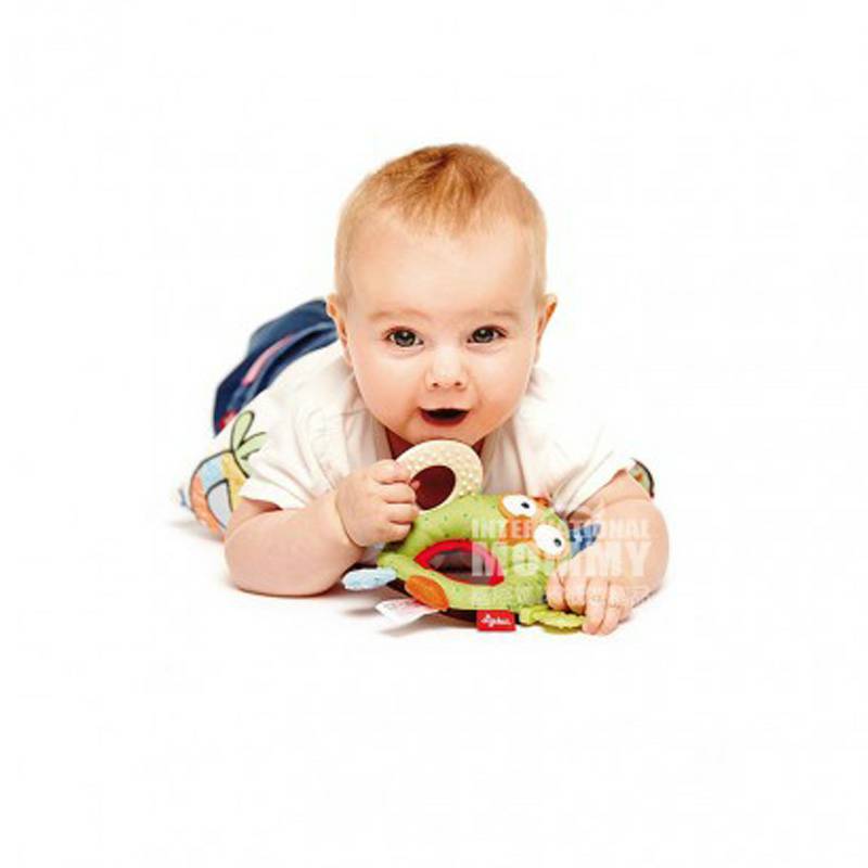 Sigikid Jerman bayi burung hantu molar gum edisi luar negeri