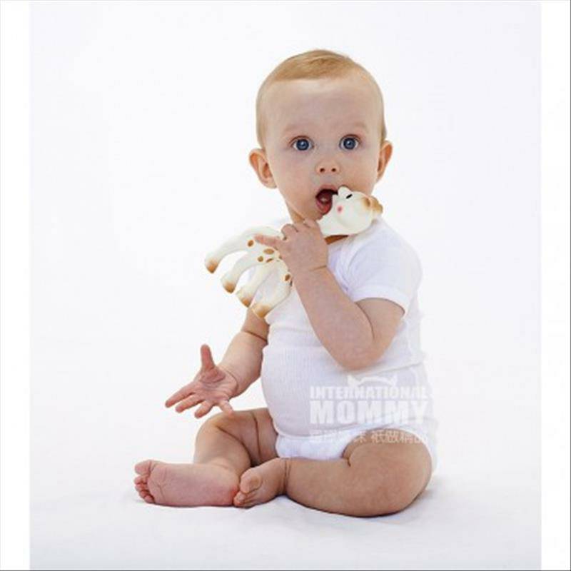 Vulli Sophie Kotak Hadiah Gigi Prancis Edisi Luar Negeri