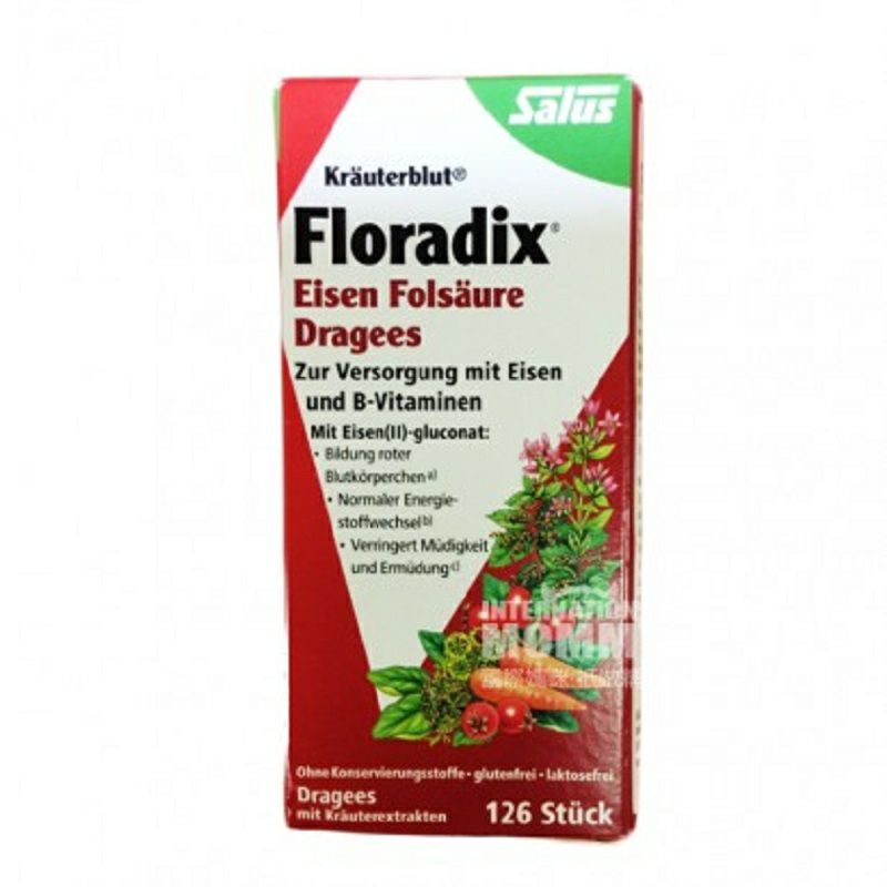Salus Jerman tablet besi floridix berisi 126 versi asam folik di luar negeri