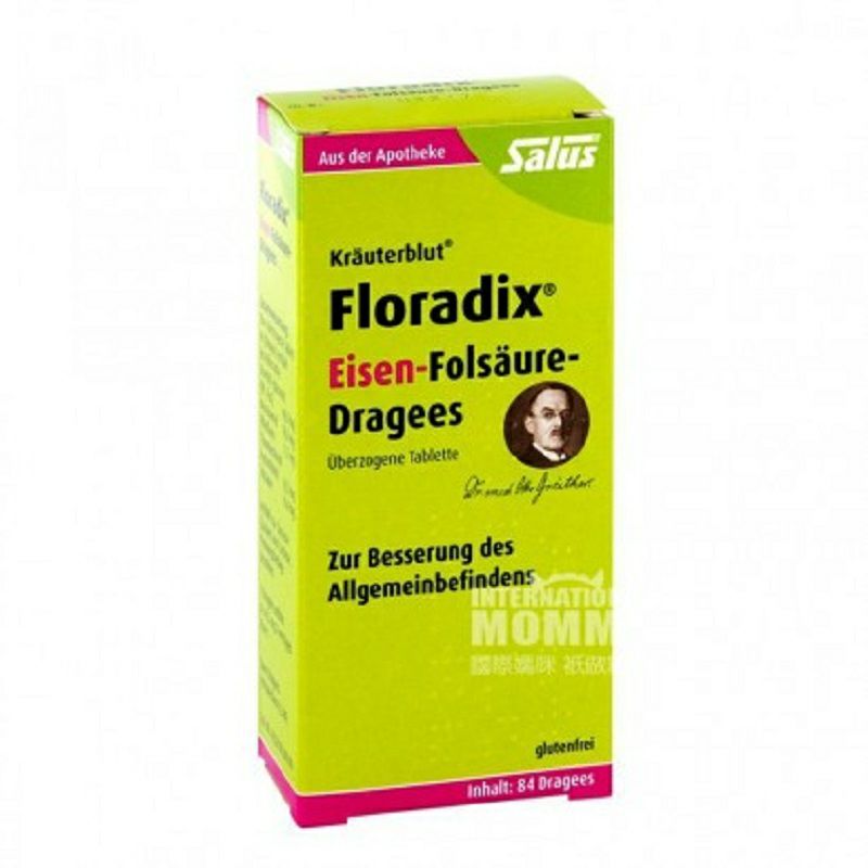 Salus Germany Floradix tablet besi yang mengandung asam folat versi farmasi 84 tablet luar negeri versi