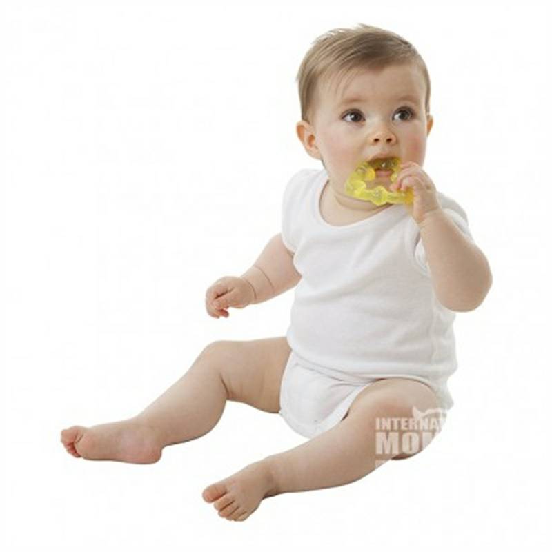 Playgro Australia Playgro Bayi Pendingin Soothing Teether 3 Pack Versi Luar Negeri