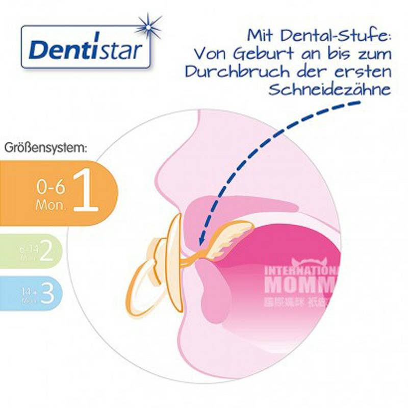 Dentistar Jerman Dentistar bayi dot silikon gigi * 2 0-6 bulan versi luar negeri