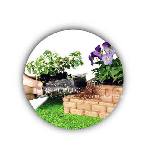 Teifoc German DIY bunga kecil model arsitektur versi luar negeri