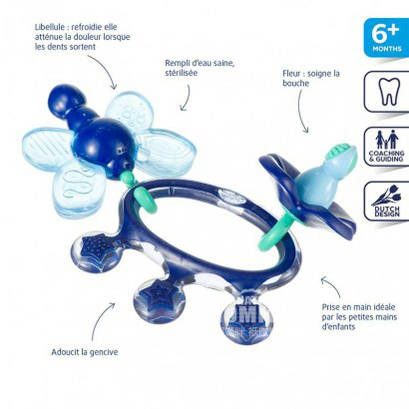 Difrax Dutch Baby Teeth Gum 6+ bulan Overseas Edition