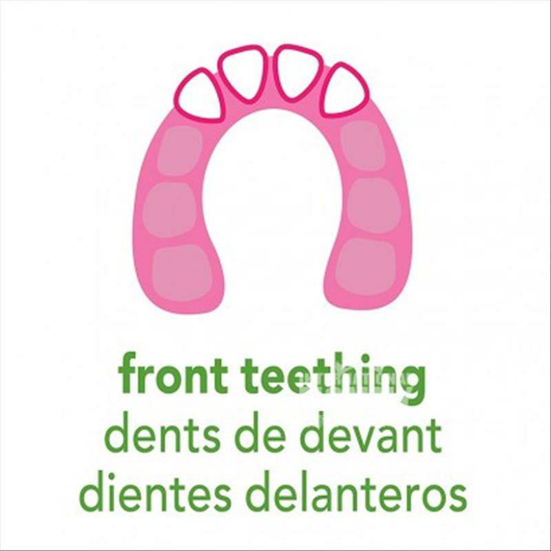 Green Sprouts Bayi Amerika meringankan pembengkakan gusi dan mendinginkan gusi versi luar negeri