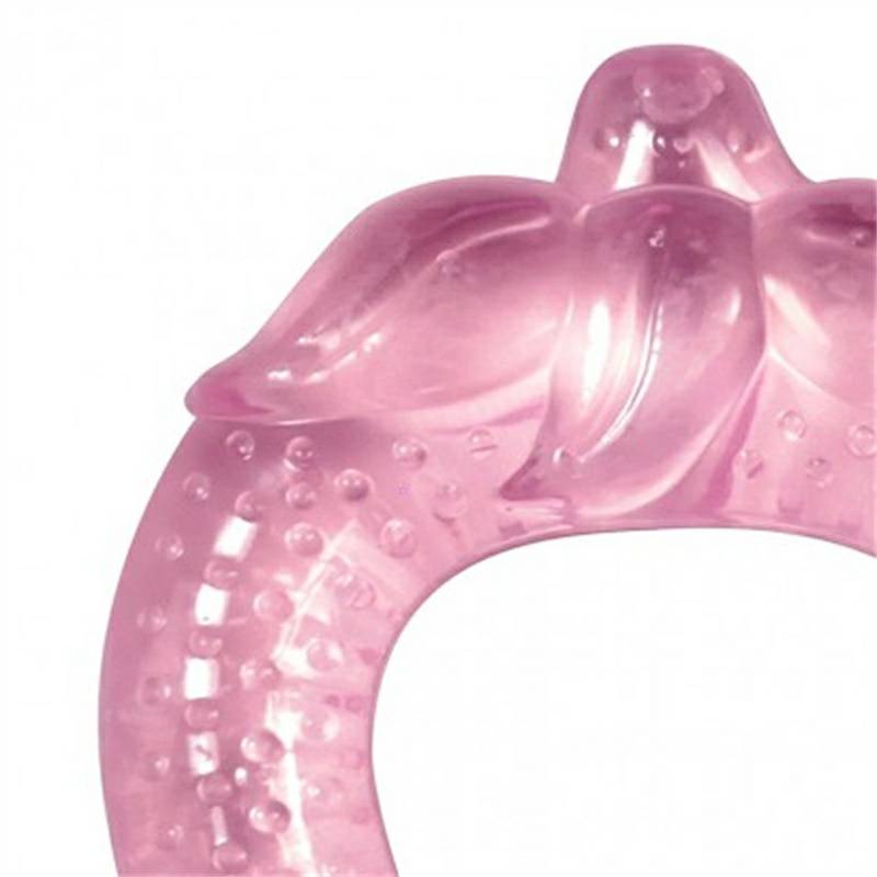 Green Sprouts American baby sayur bentuk permen karet pembengkakan nyeri edisi luar negeri