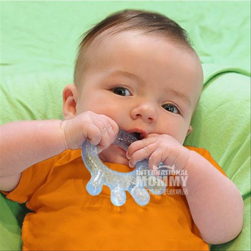 Green Sprouts American baby perangkat pelatihan suplemen makanan oral berbentuk tangan gel dua edisi luar negeri