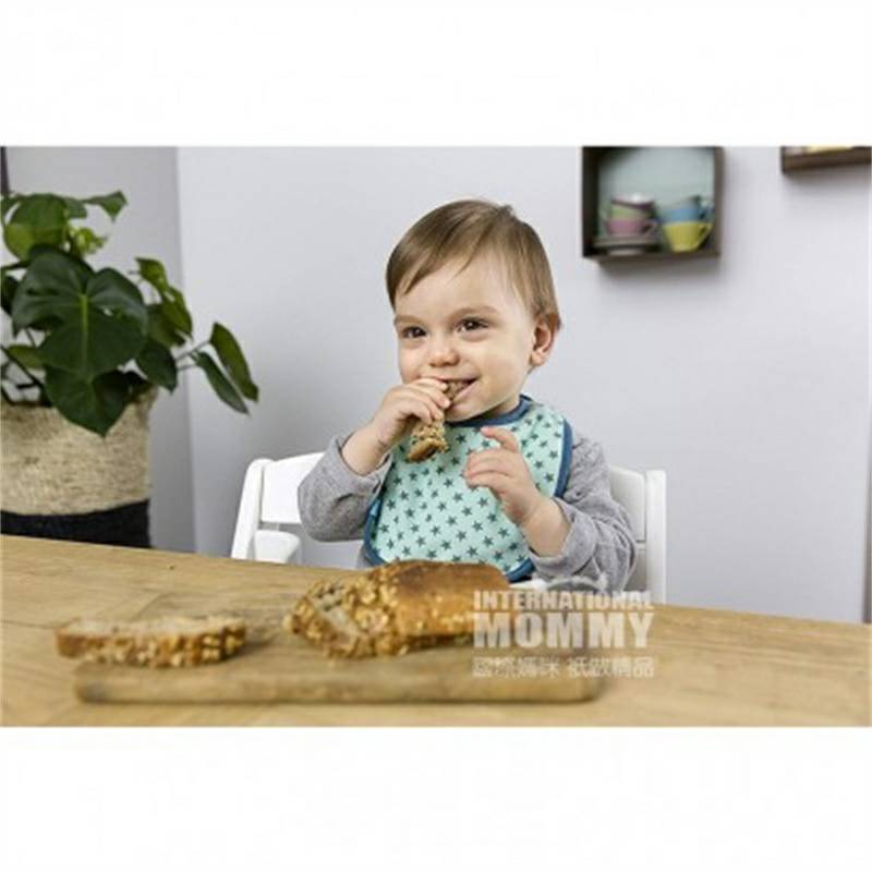 Lassig Jerman Lassig Baby Bib 5 Pack Boys Overseas Version