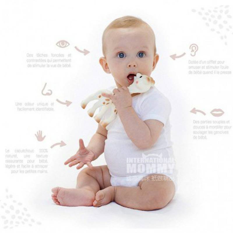 Vulli Sophie French Baby Cloth Menempatkan Doll + Teether Toy Set Versi Luar Negeri