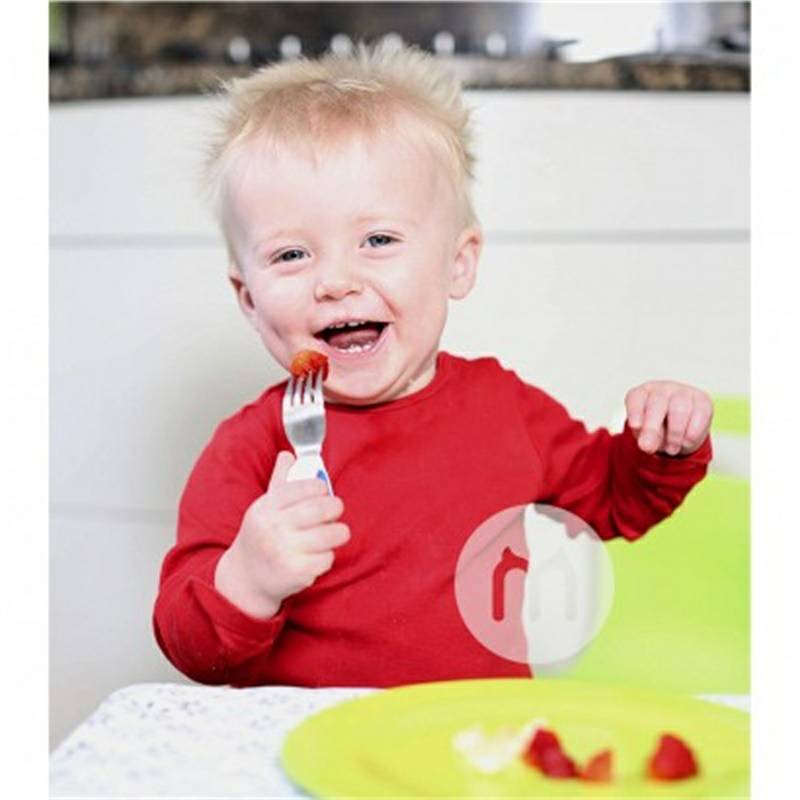 Doddl British Doddl Children`s Stainless Steel Sendok Garpu Set Pelatihan Edisi Luar Negeri