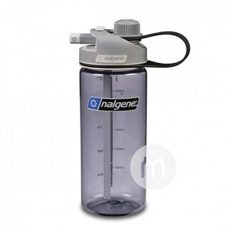 cangkir jerami portabel Nalgene US versi 650ml di luar negeri