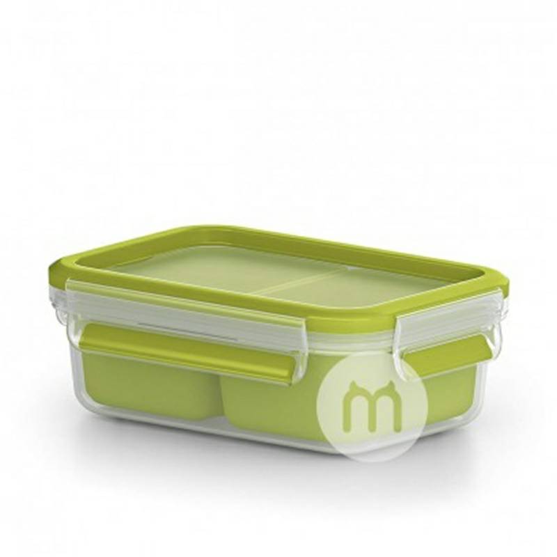 EMSA Jerman kotak makan siang anak-anak kotak penyimpanan makanan ringan 550ml versi luar negeri