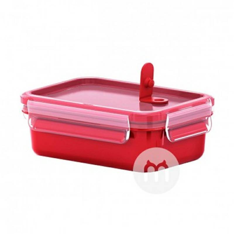 EMSA kotak makan siang anak-anak Jerman kotak makanan ringan dengan katup microwave versi 550ml di luar negeri