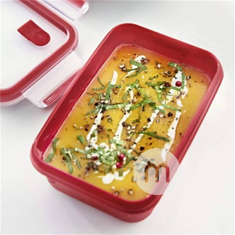 EMSA kotak makan siang anak-anak Jerman kotak makanan ringan dengan katup microwave versi 800ml di luar negeri