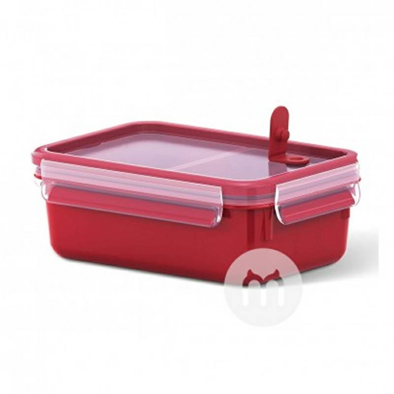 EMSA Jerman kompartemen anak kotak makan siang camilan kotak makanan dengan microwave katup 1L versi luar negeri