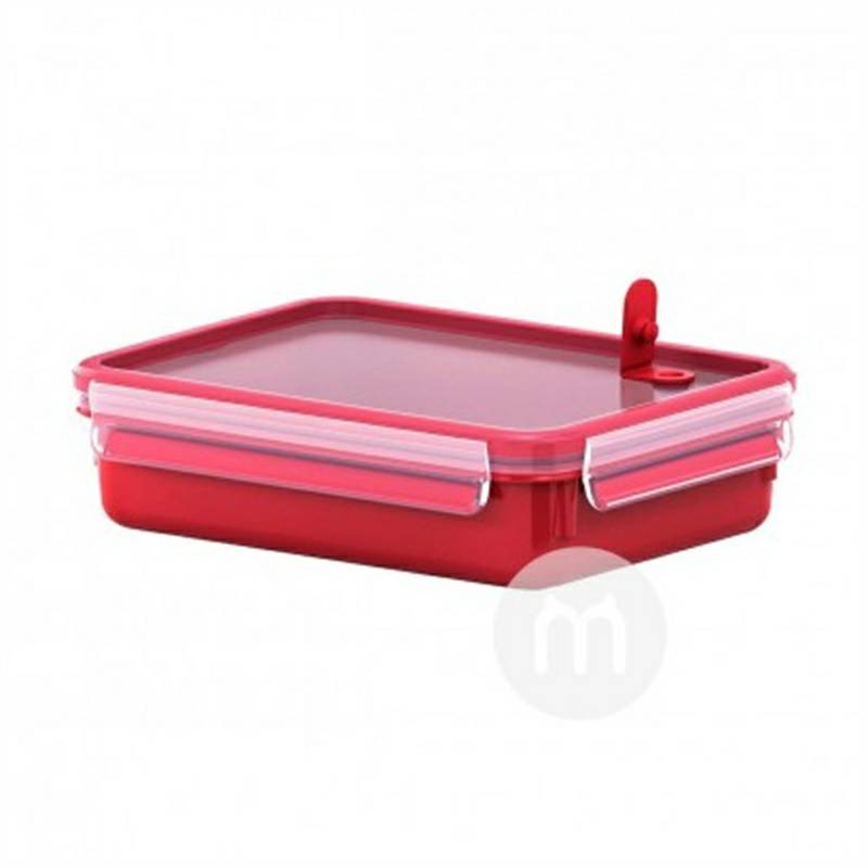 EMSA Jerman kotak makan siang anak-anak camilan kotak pelestarian makanan dengan katup microwave versi 1.2L luar negeri