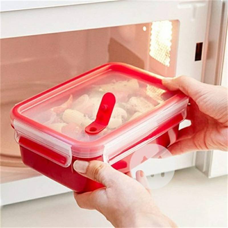 EMSA Jerman kotak makan siang anak-anak camilan kotak pelestarian makanan dengan katup microwave versi 1.2L luar negeri