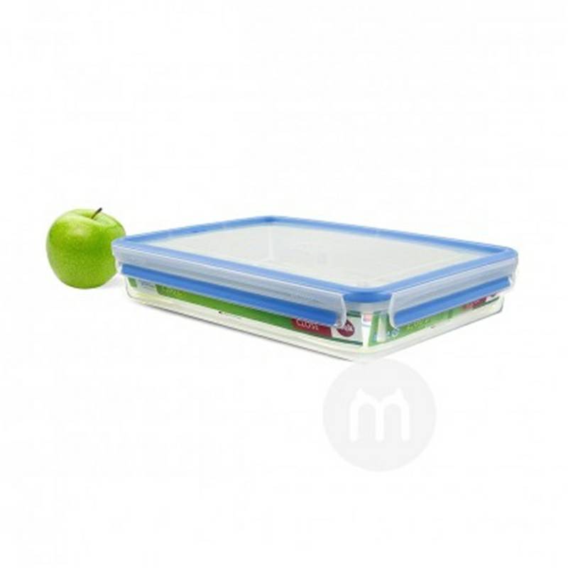 EMSA Jerman kotak camilan plastik persegi dengan tutup kotak segar versi 2.6L luar negeri