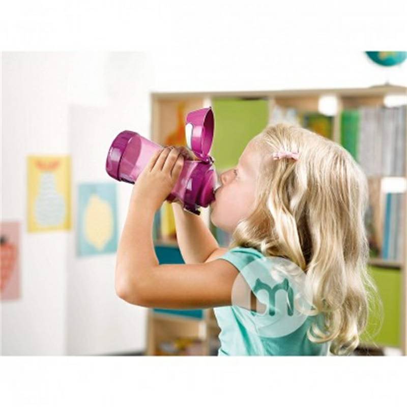 Cangkir Minum Anak-Anak Perancis dengan Gagang Versi Luar Negeri 430ml