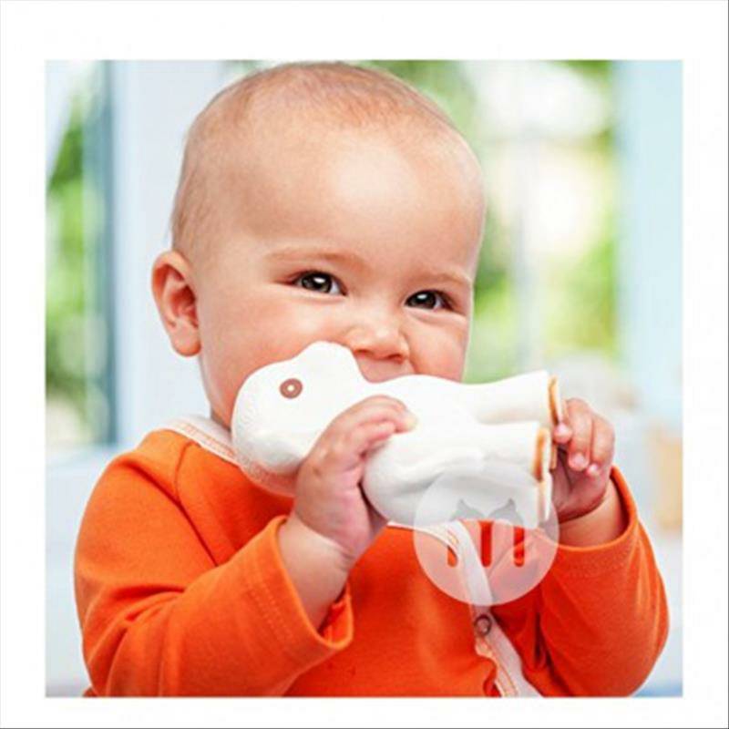 Caaocho Caaocho Bayi Kambing Molar Lem Gigi dari Kanada selama lebih dari 0 bulan Versi Luar Negeri