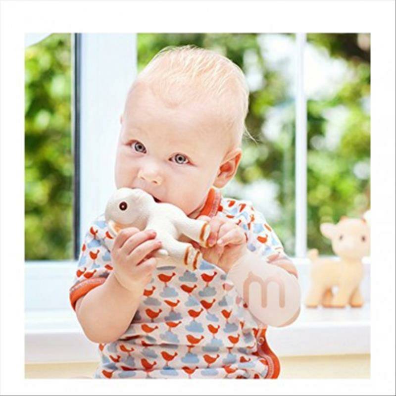 Caaocho Caaocho Bayi Kambing Molar Lem Gigi dari Kanada selama lebih dari 0 bulan Versi Luar Negeri