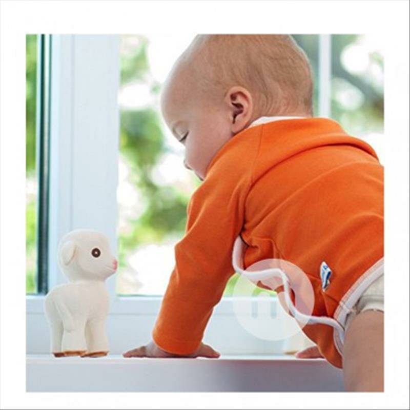 Caaocho Caaocho Bayi Kambing Molar Lem Gigi dari Kanada selama lebih dari 0 bulan Versi Luar Negeri