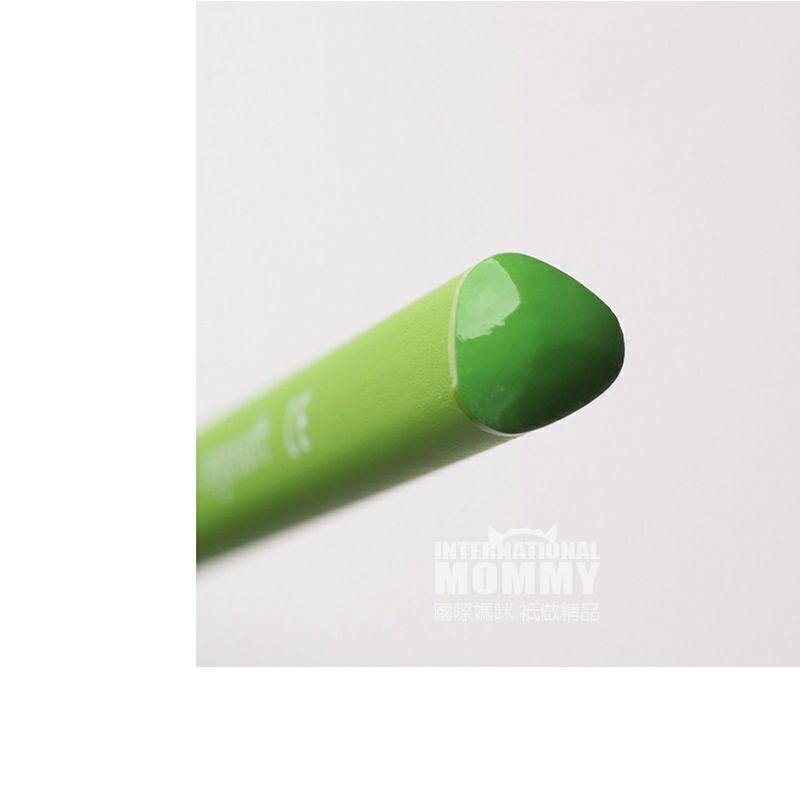 STAEDTLER Germany Pensil warna 24-warna yang larut dalam air edisi luar negeri