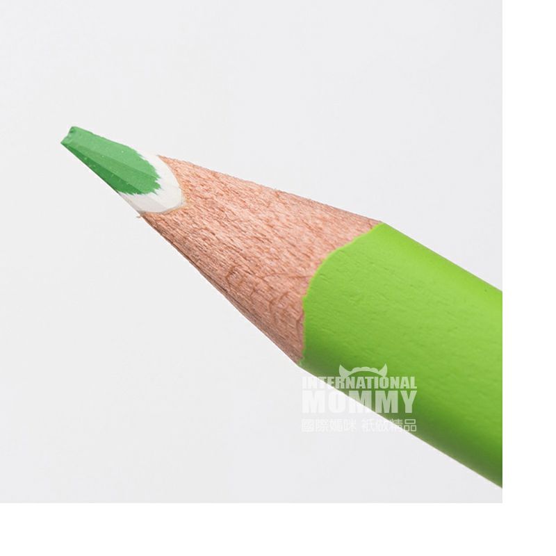 STAEDTLER Germany Pensil warna 24-warna yang larut dalam air edisi luar negeri