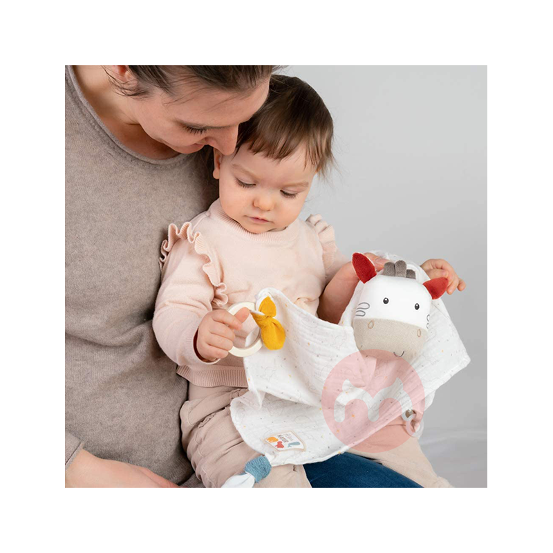 Baby FEHN German Zebra Soothing Towel Original Overseas Local Version