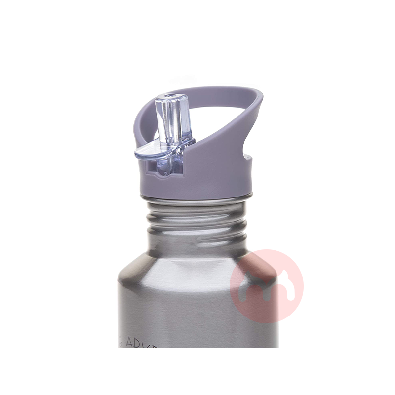 Lassig German Lassig Ketel Stainless Steel 500ml Ungu Asli Edisi Lokal Luar Negeri