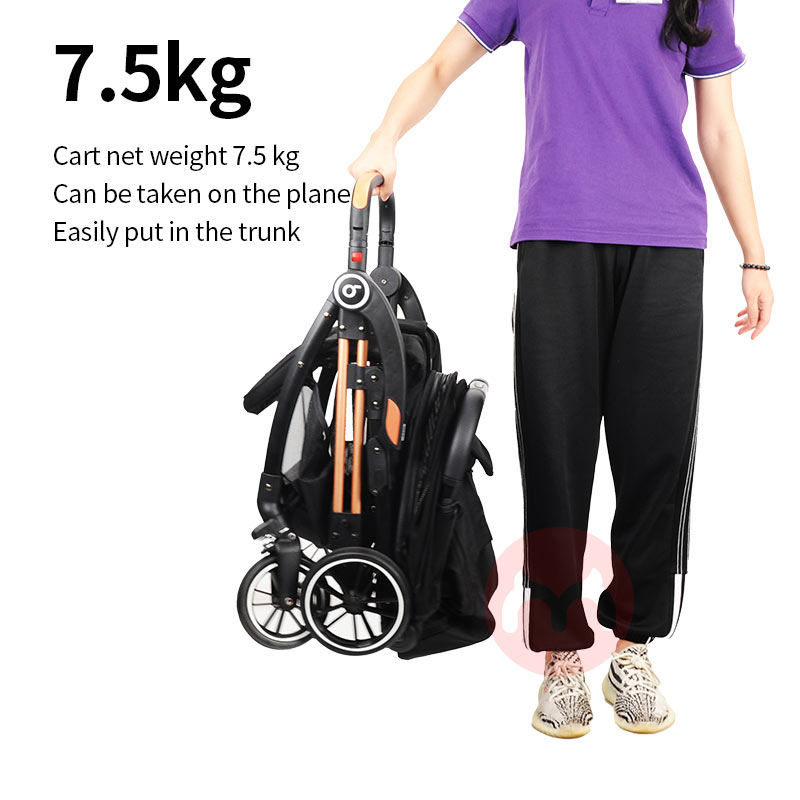 Baobaohao Sebuah pengembara dengan pandangan tinggi untuk duduk dan berbohong