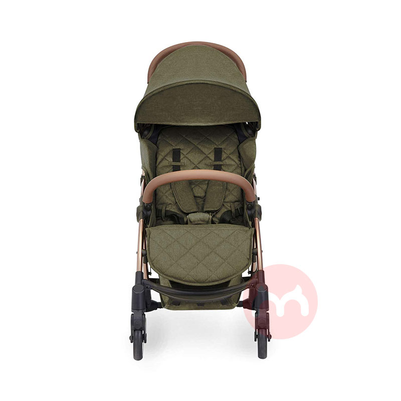 Ickle Bubba Pengendali bayi yang bisa dibawa