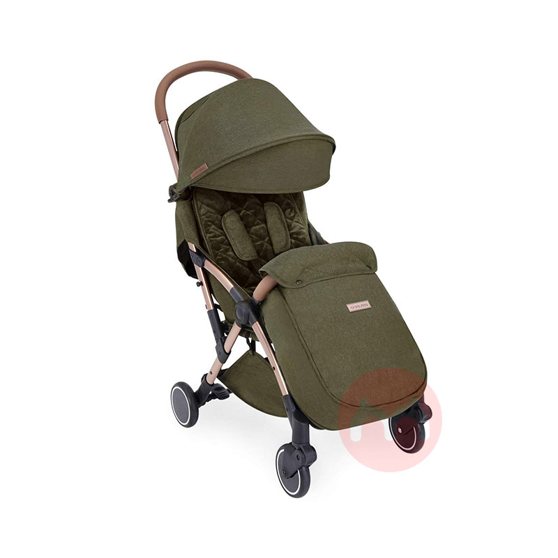 Ickle Bubba Pengendali bayi yang bisa dibawa