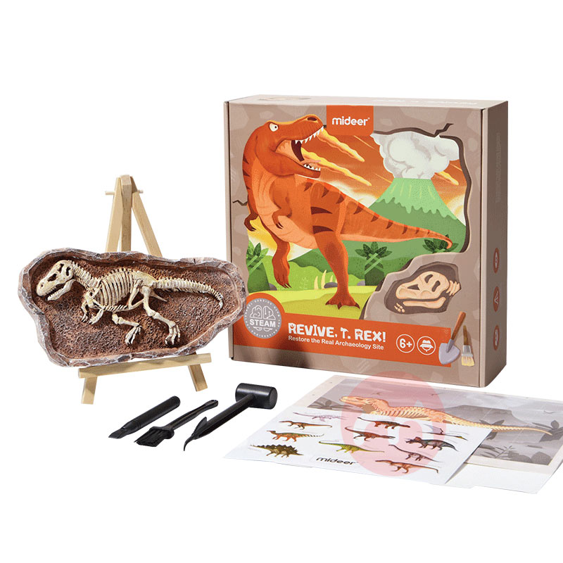 Mideer Dinosaur Fossils Archaeological Excavation Games