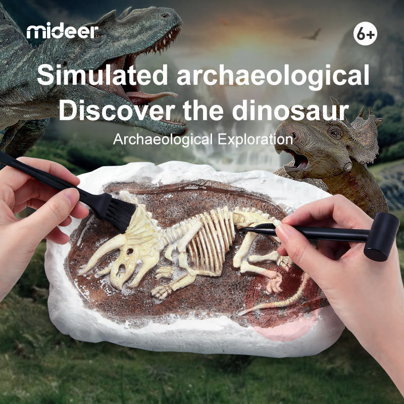 Mideer Dinosaur Fossils Archaeological Excavation Games