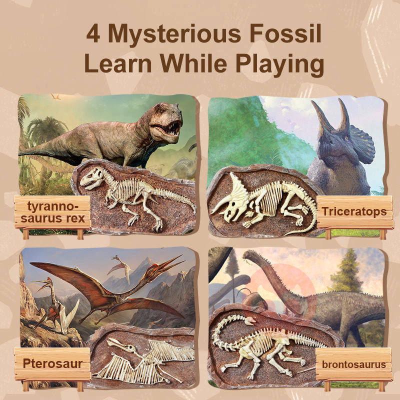 Mideer Dinosaur Fossils Archaeological Excavation Games